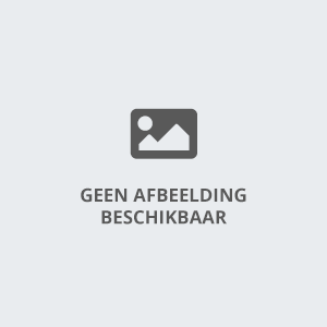 Kinderen tijdens een actief kinderfeestje