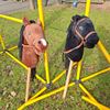 hobby horsing huren hobby horsing mieten